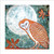 JP97501 - Barn Owl (6 unbagged blank cards)