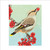 LP99436 - Waxwing & Rowan Berries (6 unbagged blank cards)