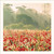 SM25005 - Poppy Field (6 unbagged blank cards)