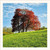 SM25019 - Copper Beech and Cowslips (6 unbagged blank cards)