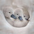 WT91463 - Cygnets (TWT, 6 bagged blank cards)
