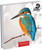 WT91029 - 153mm 2025 MIXED PHOTO pack of 10 cards RSWT (6 Christmas packs)