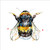 KC93586 - u - Buzz (6 unbagged blank cards)