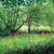 DO66601 - Rhapsody in Green (6 bagged blank cards)