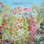 JM94623A - u - Pink Petals - Anniversary (6 unbagged anniversary cards)