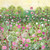 JM94626 - u - Meadow Path (6 unbagged blank cards)