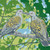 LP99650 - Turtle Doves (6 bagged blank cards)