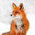 WT91479 - Red Fox Portrait (winter) (TWT, 6 bagged blank cards)