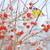WT91480 - Blue Tit and Berries (winter) (TWT, 6 bagged blank cards)