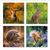 British Mammals 2026 (6 wallets)