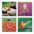 British Birds 2026 (6 wallets)