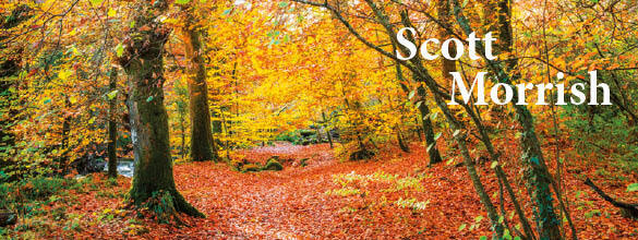 homepage-topbanner-rightsm.jpg