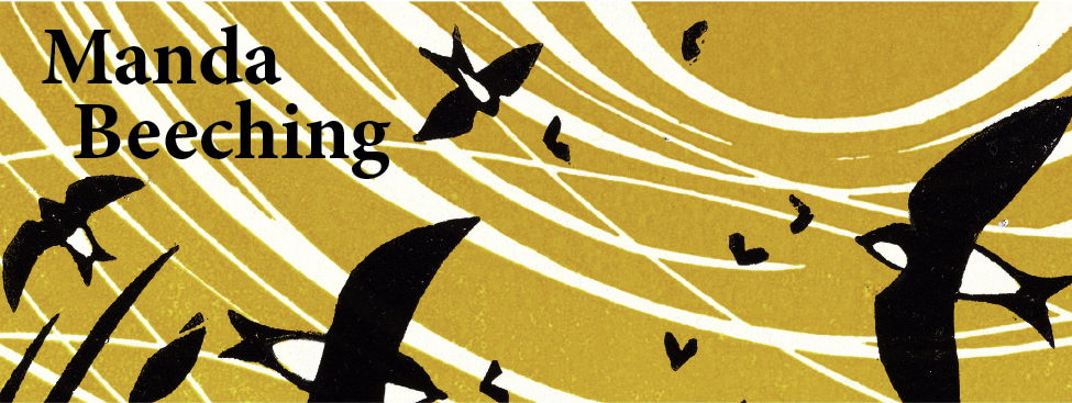 Graphic orange-and-black bird artwork by Manda Beeching.
