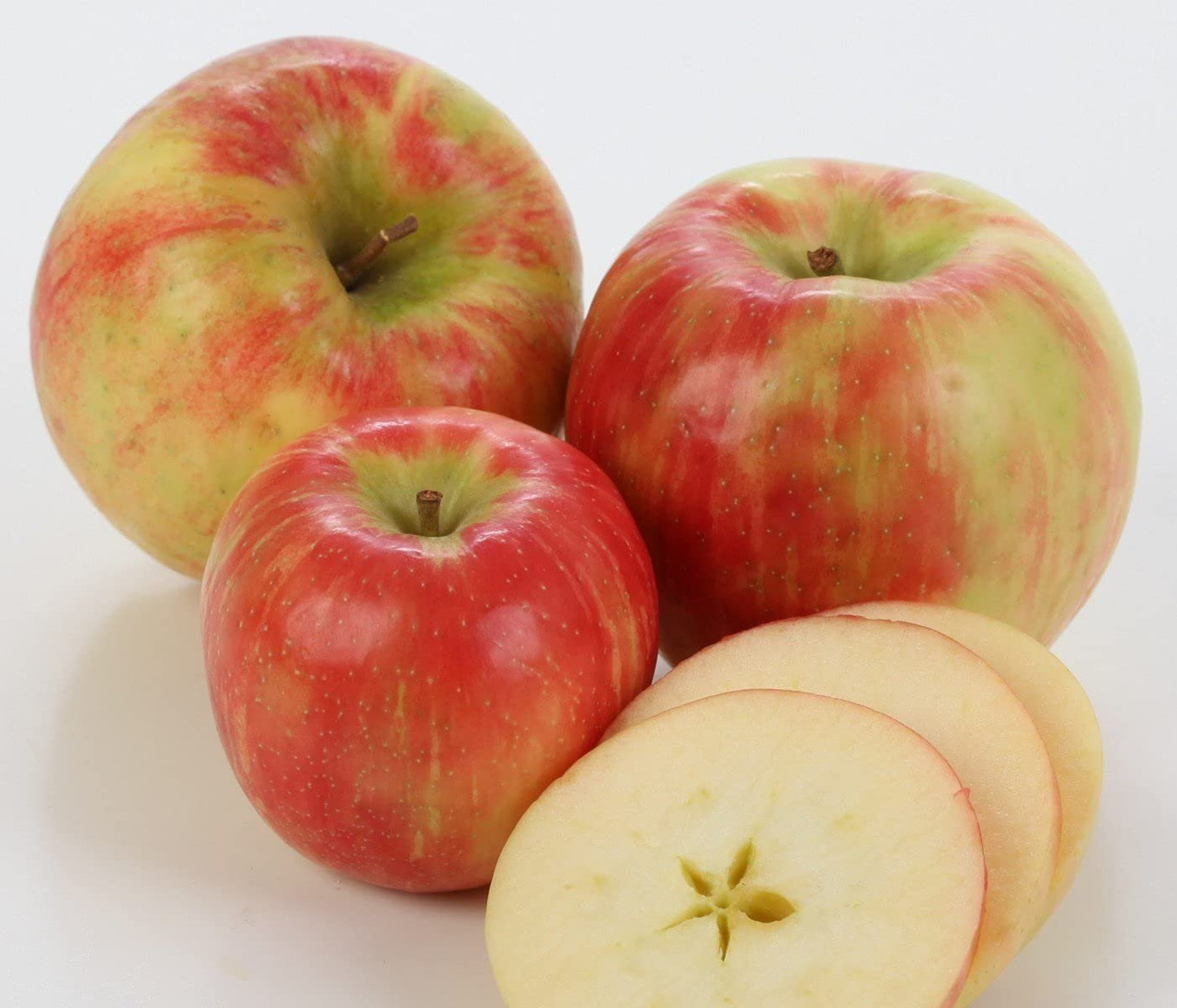 XL Honey Crisp Apples - 8 lbs. by Melissa's Produce | Goldbelly