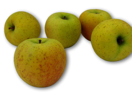 Kauffman Orchards Fresh Mcintosh Apples, Hand-Picked New-Crop Wax-Free  Heirloom Macintosh Apples (Box of 48)