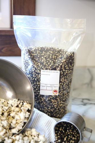Blue Popcorn Kernels in Bulk