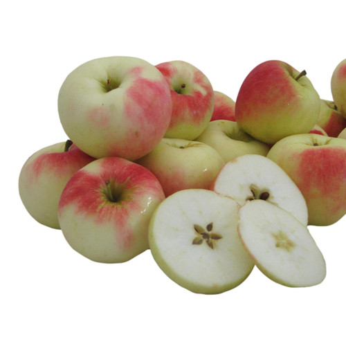 Kauffman Orchards Fresh Sansa Apples, Hand-Picked, Sweet Apples for Eating Fresh