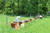 Pennsylvania Basswood Honey by Welsh Mountain Apiaries, Raw and Unfiltered