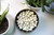 Yogurt Covered Raisins in Bulk