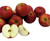 Kauffman Orchards Fresh Jonathan Apples, Hand-Picked in Our Lancaster County Orchard