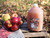 Kauffman Orchards Award-Winning Homemade Fresh-Pressed Apple Cider, Frozen for Shipping, Approximately 0.9 Gallon