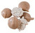 Kauffman Orchards Pumpkin Roll Nonpareils