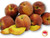 Kauffman Orchards Fresh-Picked, Sun-Ripened Peaches