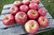 Kauffman Orchards Fresh-Picked Evercrisp Apples