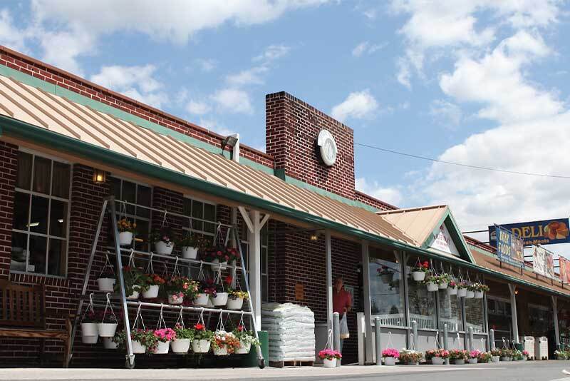 Our Bird-in-Hand market