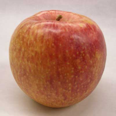 Kauffman's Fruit Farm & Market Kauffman Orchards Fresh McIntosh Apples, Hand-Picked New-Crop Wax-Free Heirloom Macintosh Apples (Box of 8)