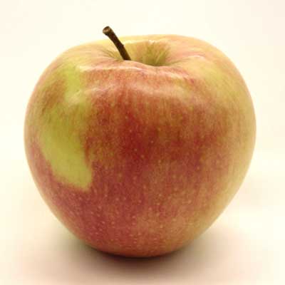 Kauffman Orchards Fresh Mcintosh Apples, Hand-Picked New-Crop Wax-Free  Heirloom Macintosh Apples (Box of 8)