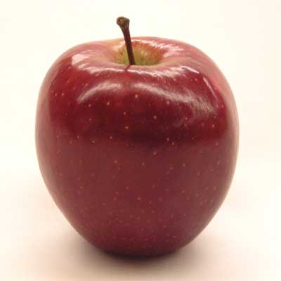 Kauffman Orchards Fresh Mcintosh Apples, Hand-Picked New-Crop Wax-Free  Heirloom Macintosh Apples (Box of 8)