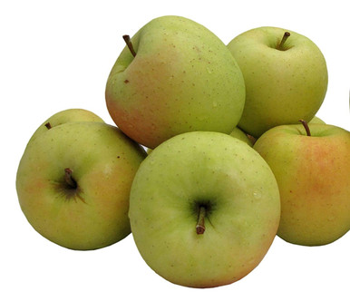 Organic Dry-Farmed Golden Delicious Apples, 1 lb, Devoto Gardens