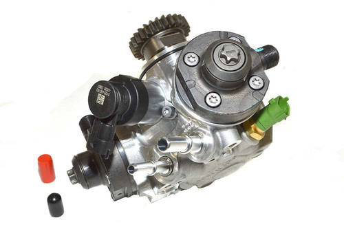 LR061536