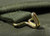 EXT294-1 - Land Rover Series 1 80" front webbing to windscreen brass hooks - Pair - By Exmoor Trim