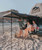 EXO270 - Exoshell 270 Batwing Awning - the ultimate canopy for your camping trip!