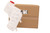 LR081667 - Radiator Coolant Overflow Tank - Discovery 5 - Genuine Land Rover