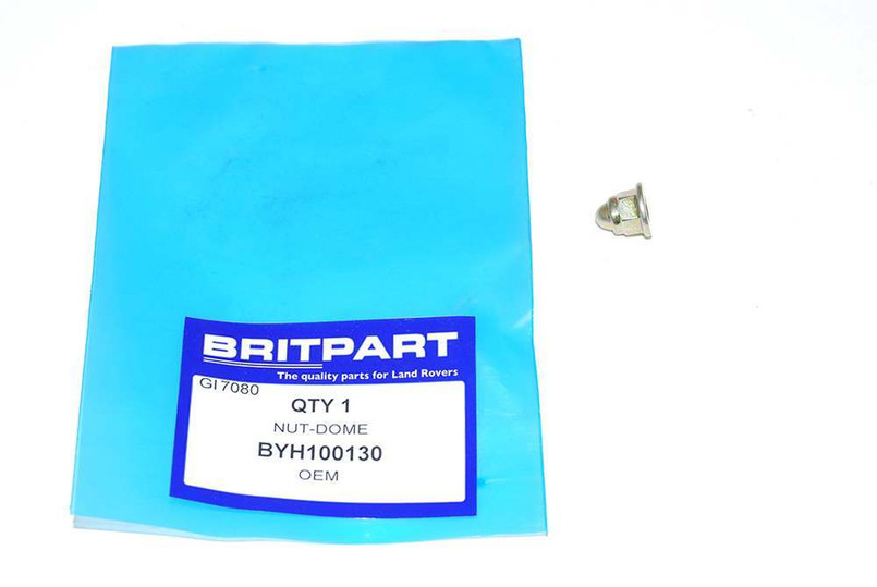 BYH100130