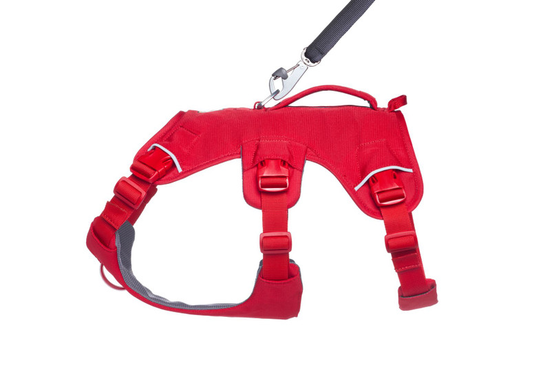EXT002WEBMASTER - Ruffwear Web Master™ Dog Harness - by Exmoor Trim - Various Colours Available Image 3
