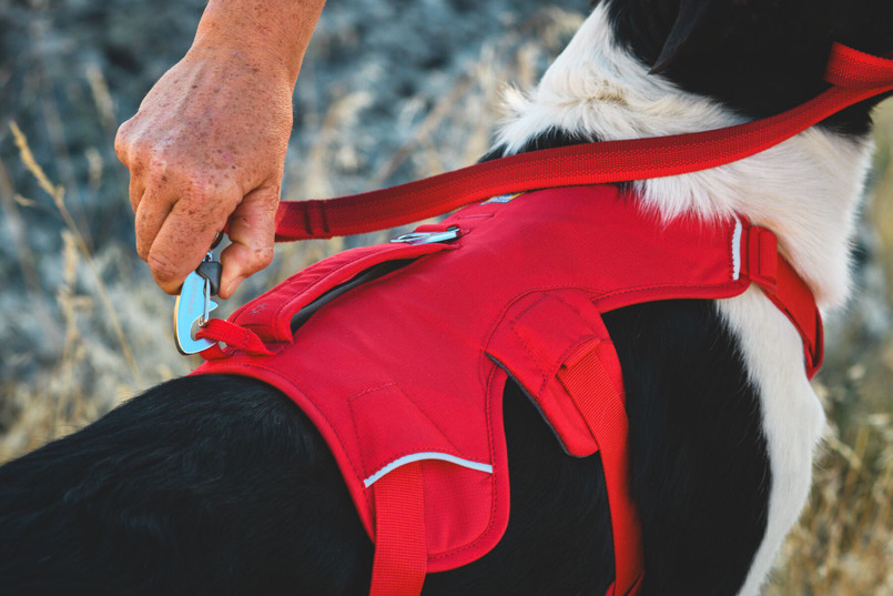 EXT002WEBMASTER - Ruffwear Web Master™ Dog Harness - by Exmoor Trim - Various Colours Available Image 7