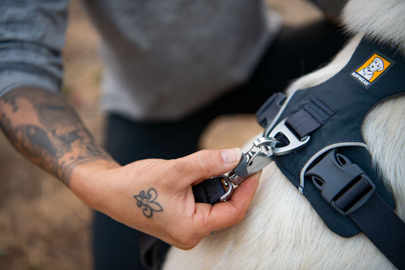 EXT002FRONTRANGE - Ruffwear Front Range® Dog Harness - by Exmoor Trim - Various Colours Available Image 3