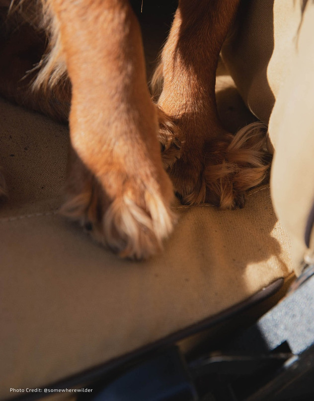 EXT019-1 - Front Outer Seat Covers (Pair) - Defender Pre 2007 - Sand Canvas - By Exmoor Trim Image 10