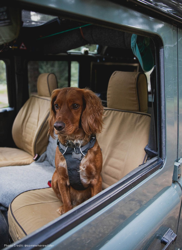 EXT019-1 - Front Outer Seat Covers (Pair) - Defender Pre 2007 - Sand Canvas - By Exmoor Trim Image 9