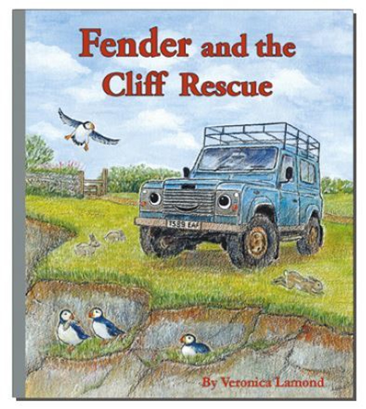 Fender Rescue - The Story Of A Defender on a Cliff Rescue Image 1