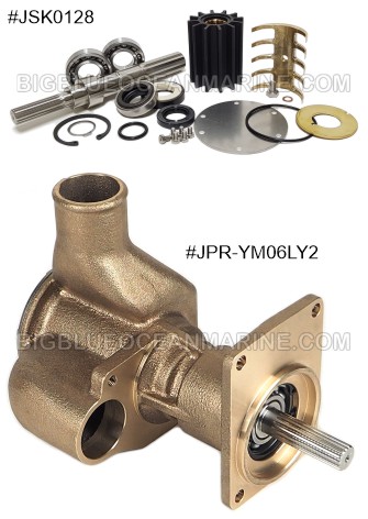 JSK0128 Major Kit, JPR-YM06LY2 pump Images