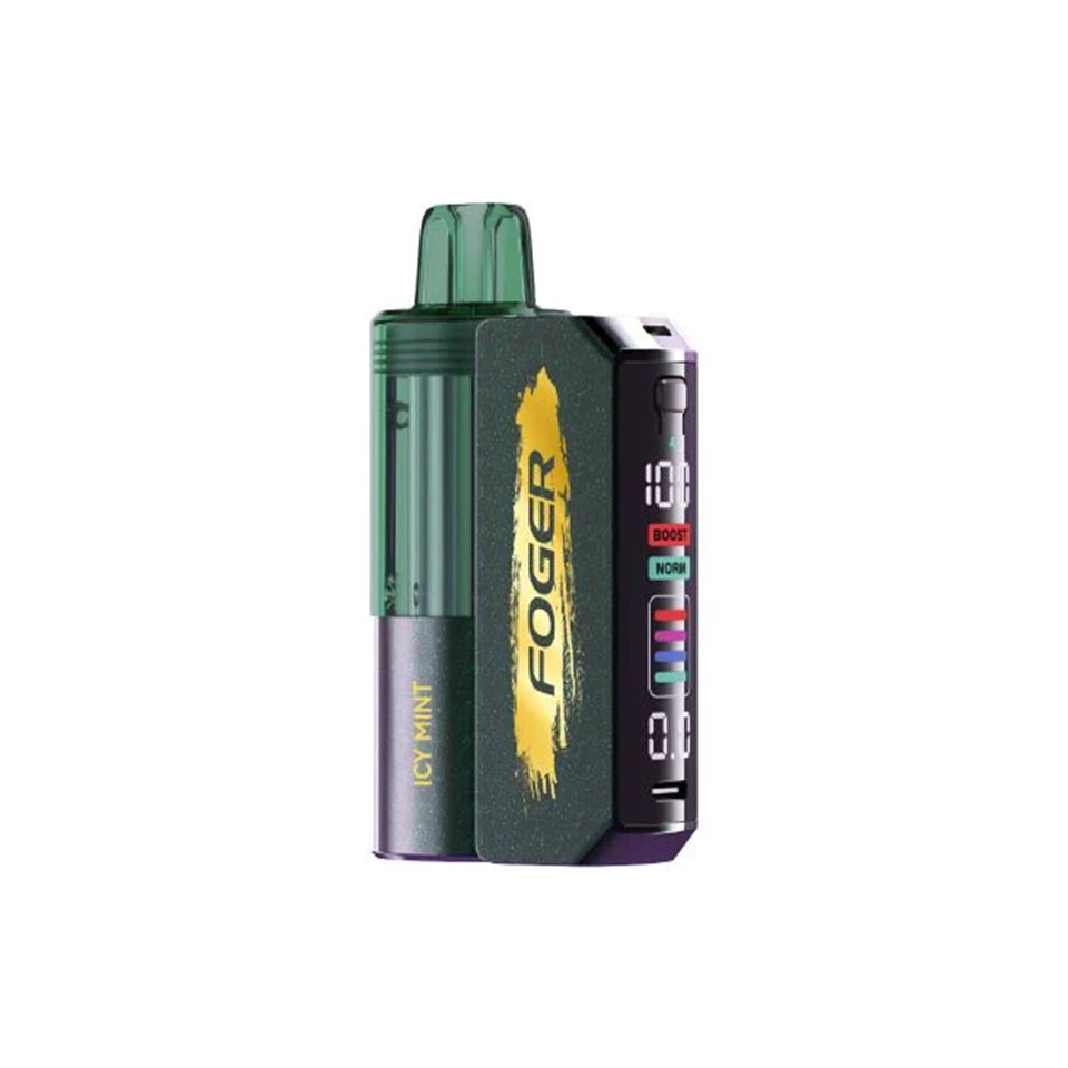 Foger Icy Mint Foger Switch Pro Disposable Kit (Pack of 05) Disposable Vape