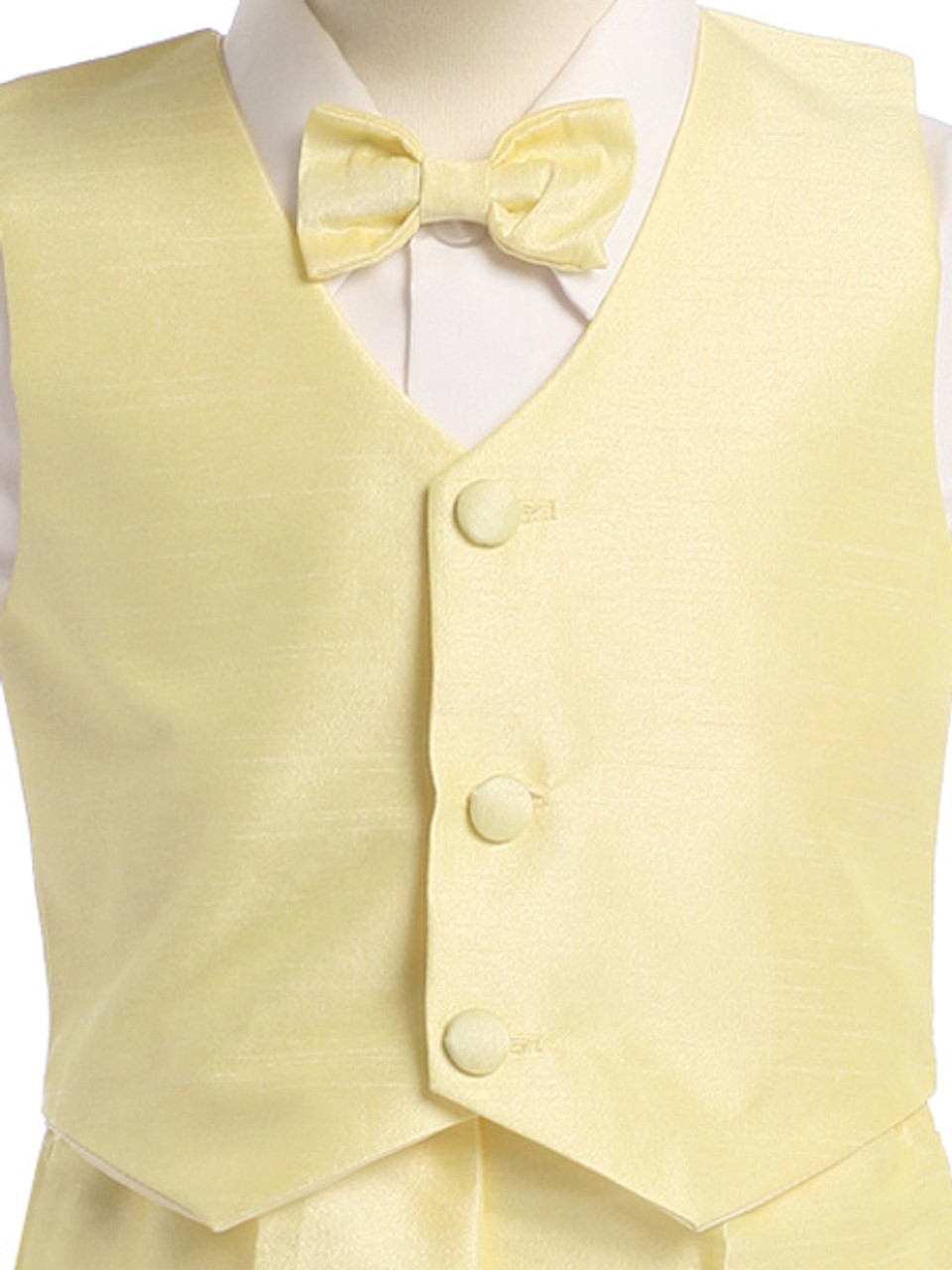 Biagio Men's Silk Dress Vest & Bow Tie Set