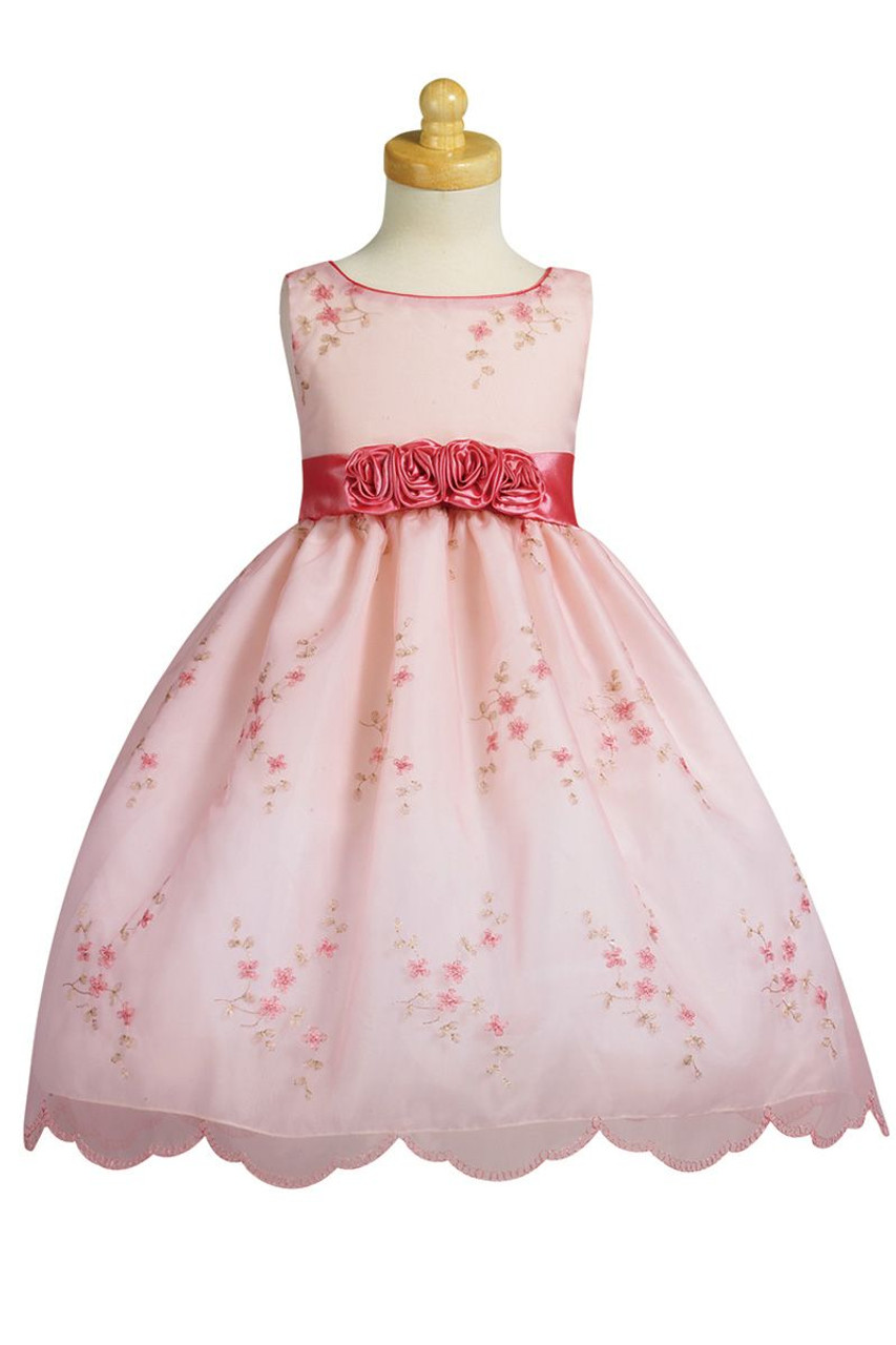 Pink Embroidered Organza Dress w/ Taffeta Waistband - Pink Princess