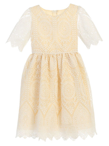 Champagne Cathedral Lace Dress Champagne Cathedral Lace Dress