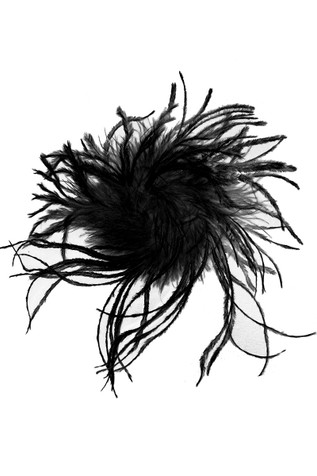 Black Ostrich Feather Black Ostrich Feather